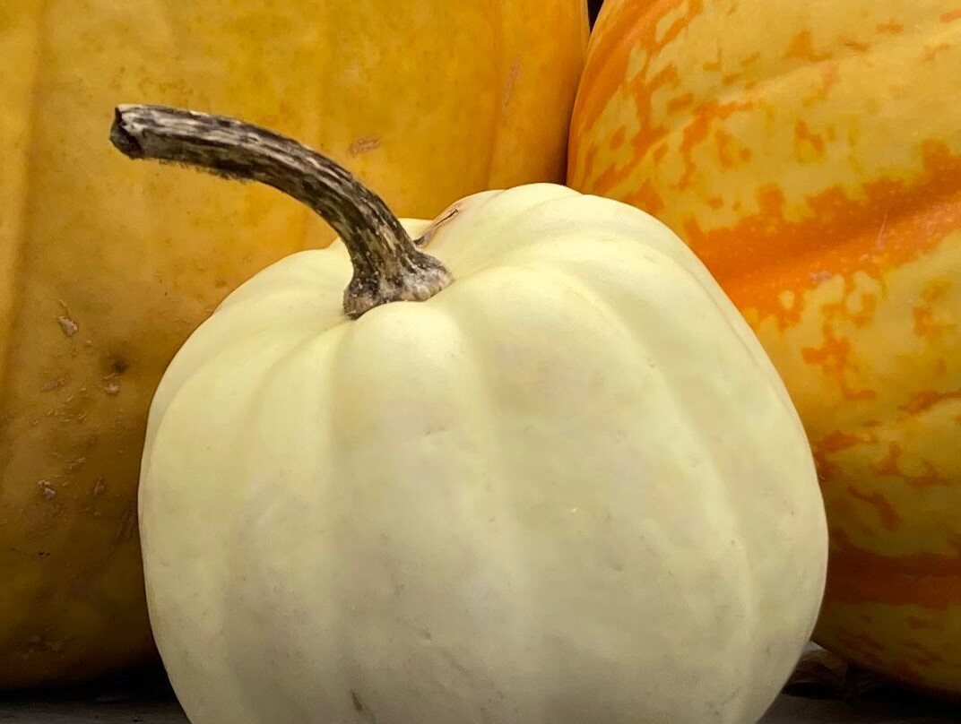 Chesterfield Inn主图