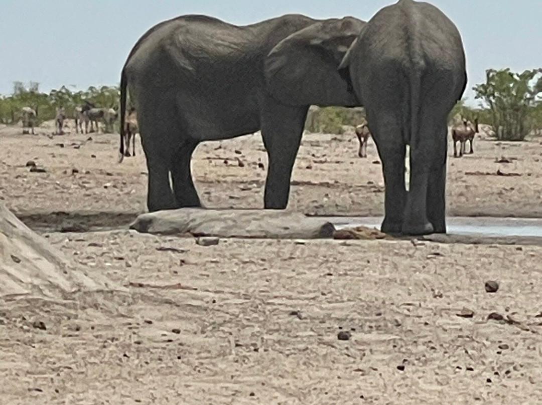 Namibia Holidays Tours & Safaris-Oshakati必去景点