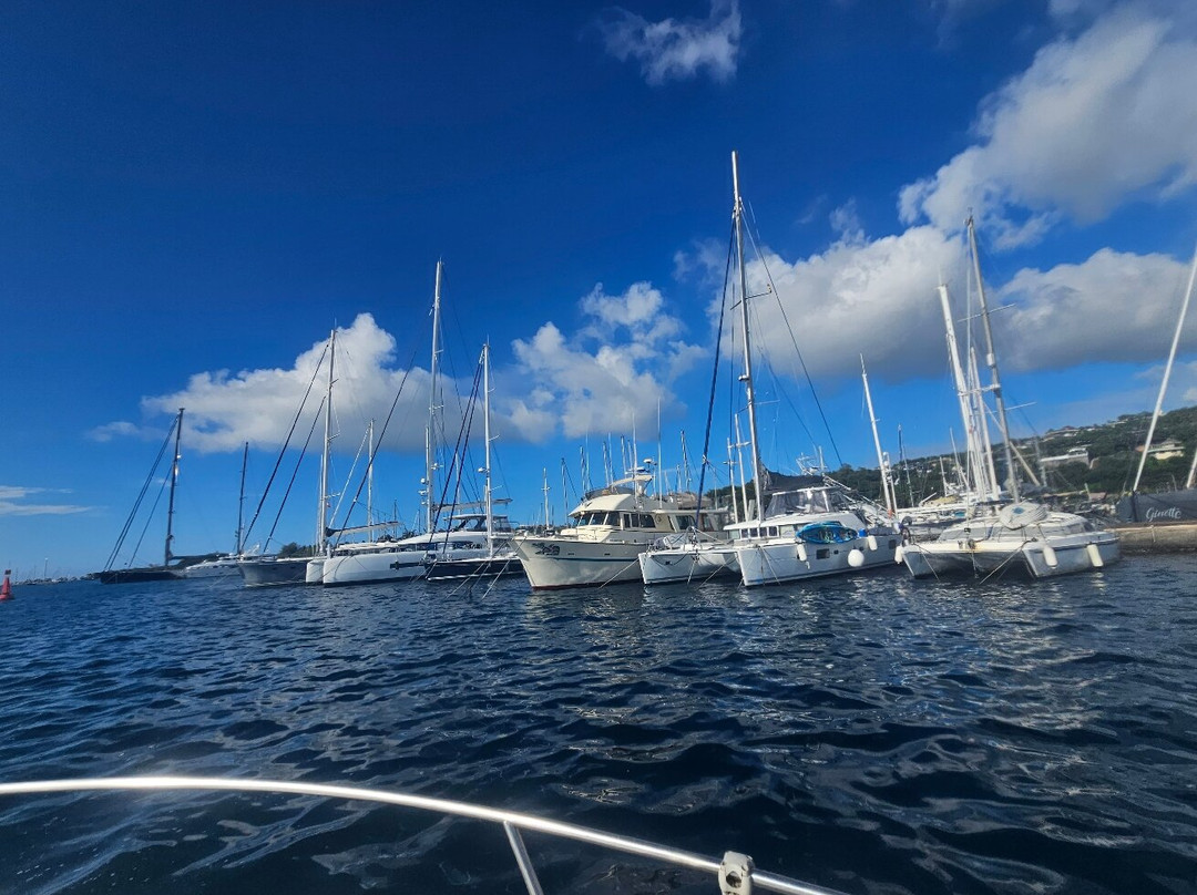 Tahiti Trip Fishing景点图片