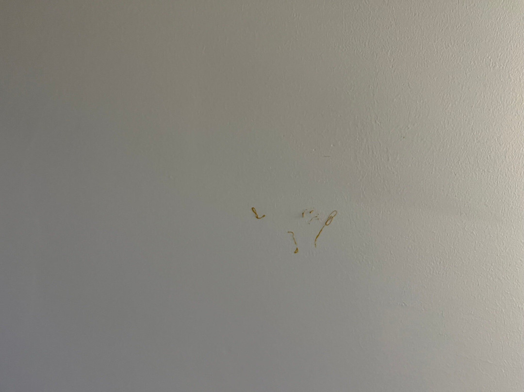 Holiday Inn Express & Suites Madison By IHG主图