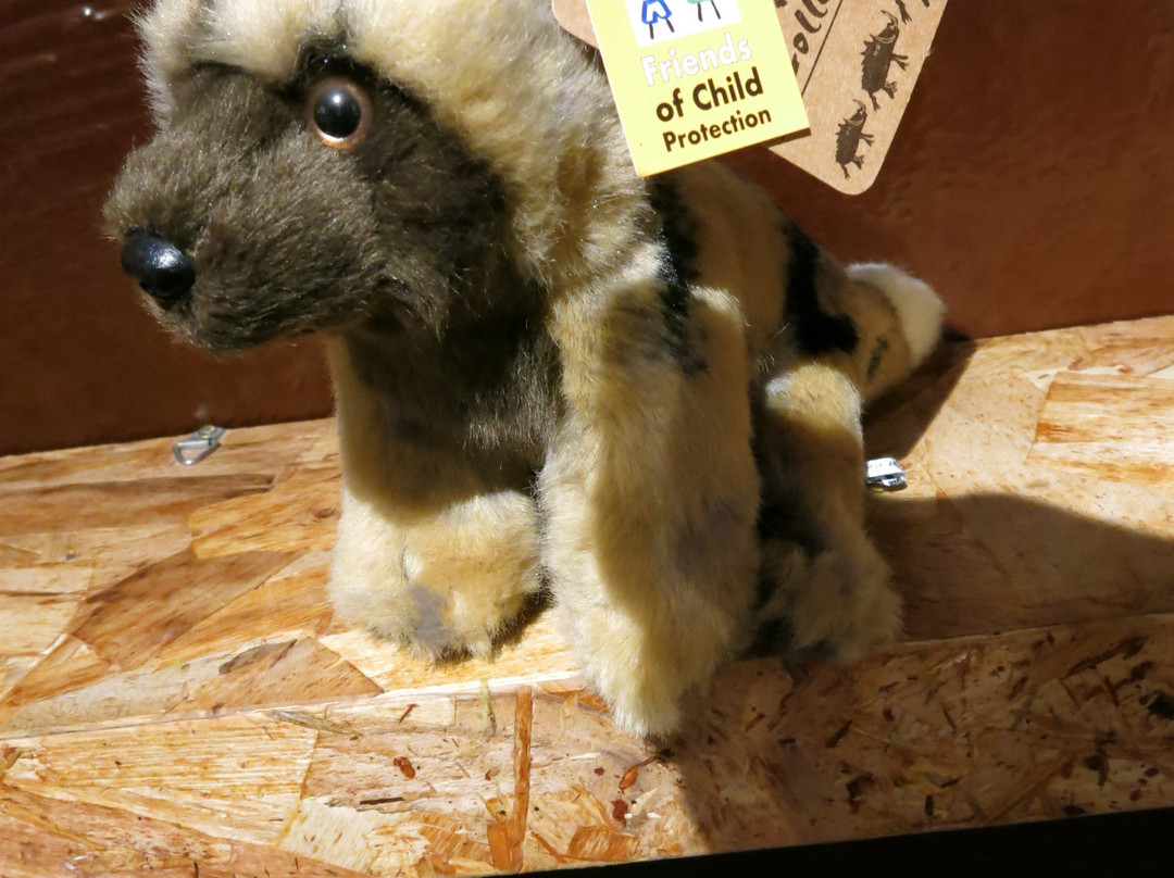 Painted Wolf Wines-帕尔必去景点