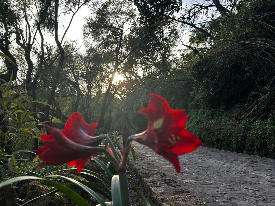 Sierra Lago Resort & Spa主图