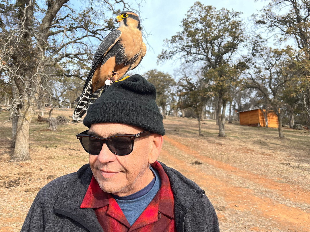 West Coast Falconry景点图片