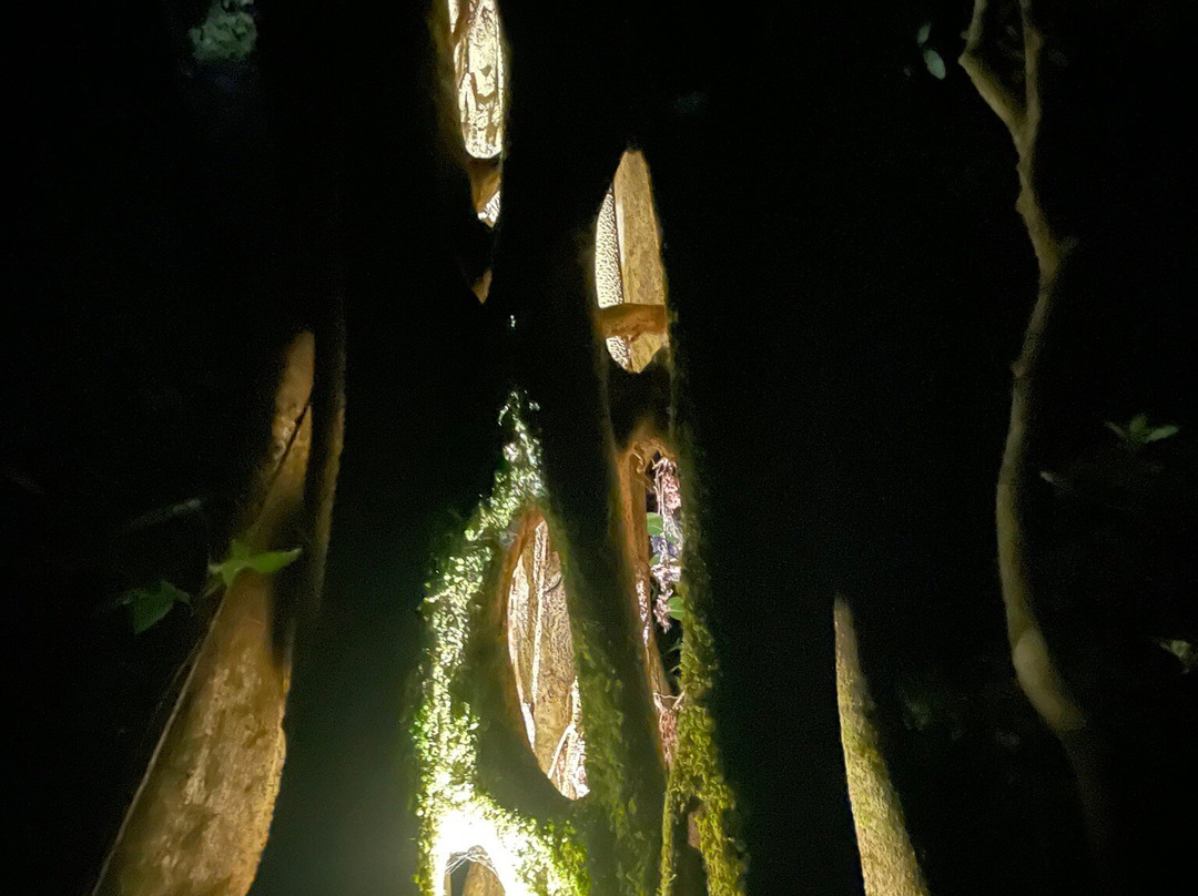 Woodpecker Educational Tours景点图片