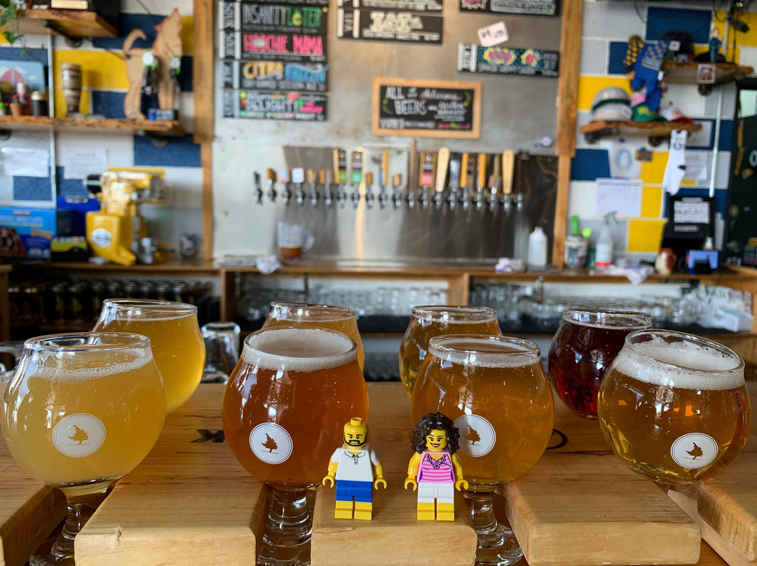 Storm Peak Brewing Company-斯廷博特斯普林斯必去景点