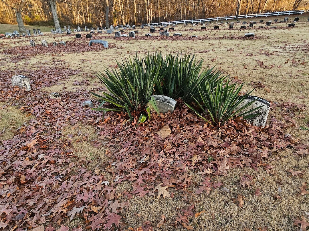 Broad Creek Cemetery