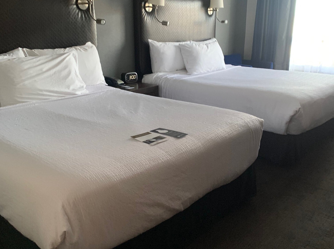 Sandman Signature Edmonton South Hotel主图