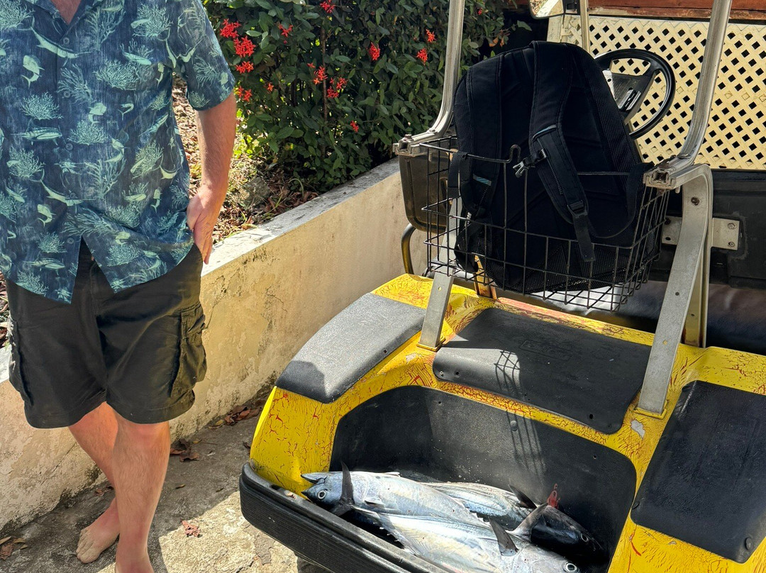 Contadora Island Inn主图