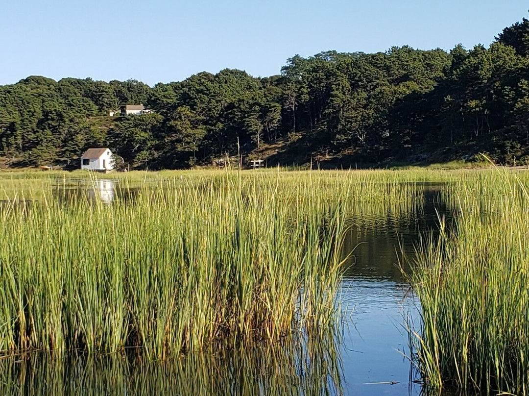 Paddle Cape Cod景点图片