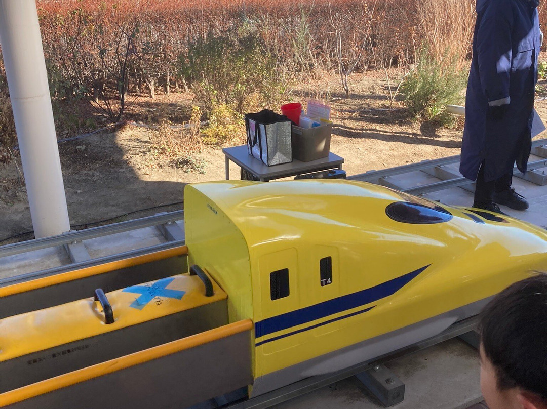 Tokyo Racecourse-府中市必去景点