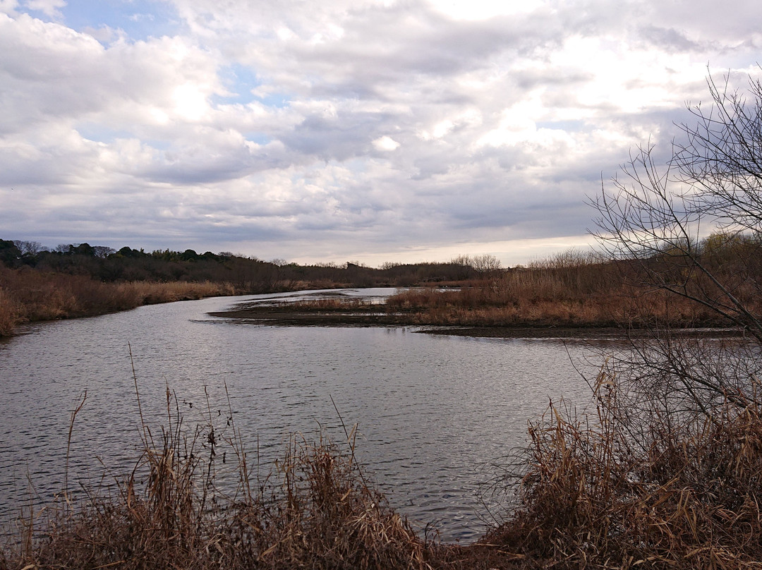 Sugaonuma-常总市必去景点