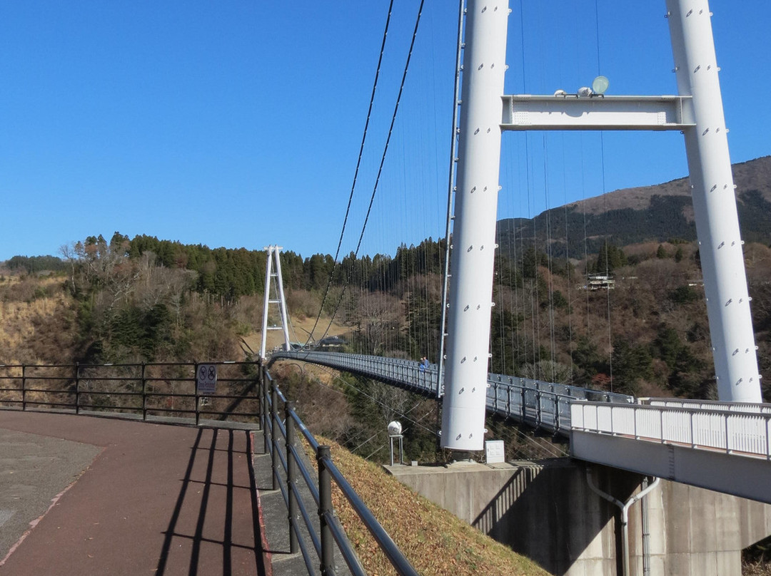 Kokonoe Yume Otsurihashi Bridge景点图片