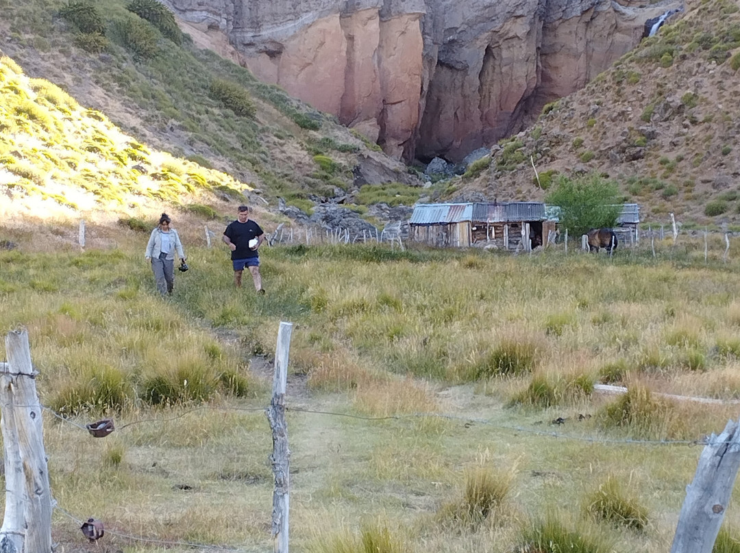 Laguna Hualcupen景点图片