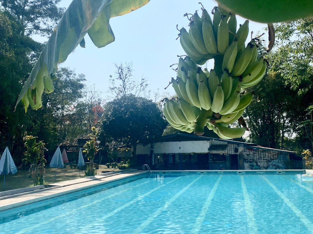 Fluid Swimming Pool-拜县必去景点