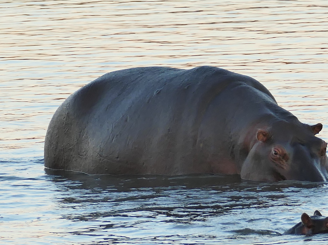 Sadaka Safaris-贝拉贝拉必去景点