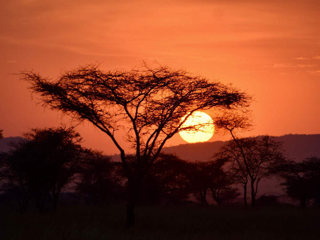 Tour with Kunta-阿鲁沙必去景点