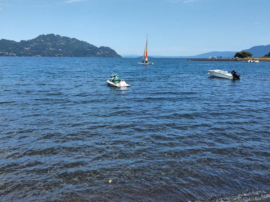 Fortin Mapuche-Conaripe必去景点