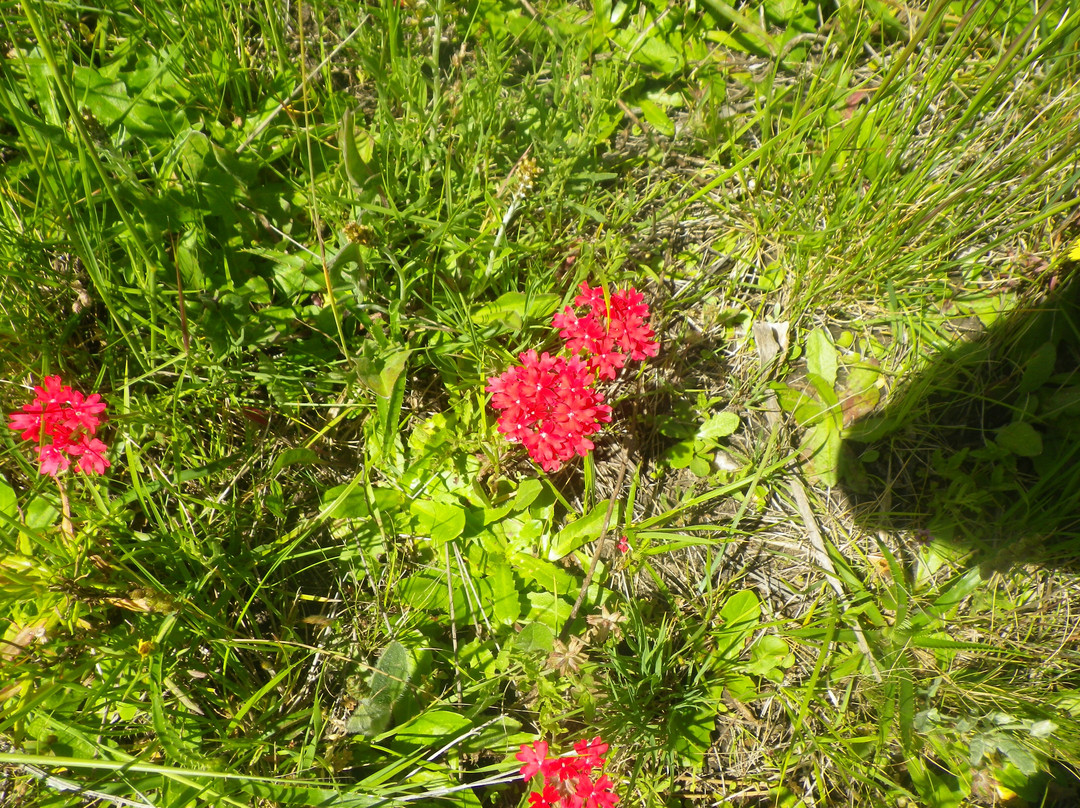 Cerro Tres Picos-本塔纳山脉必去景点