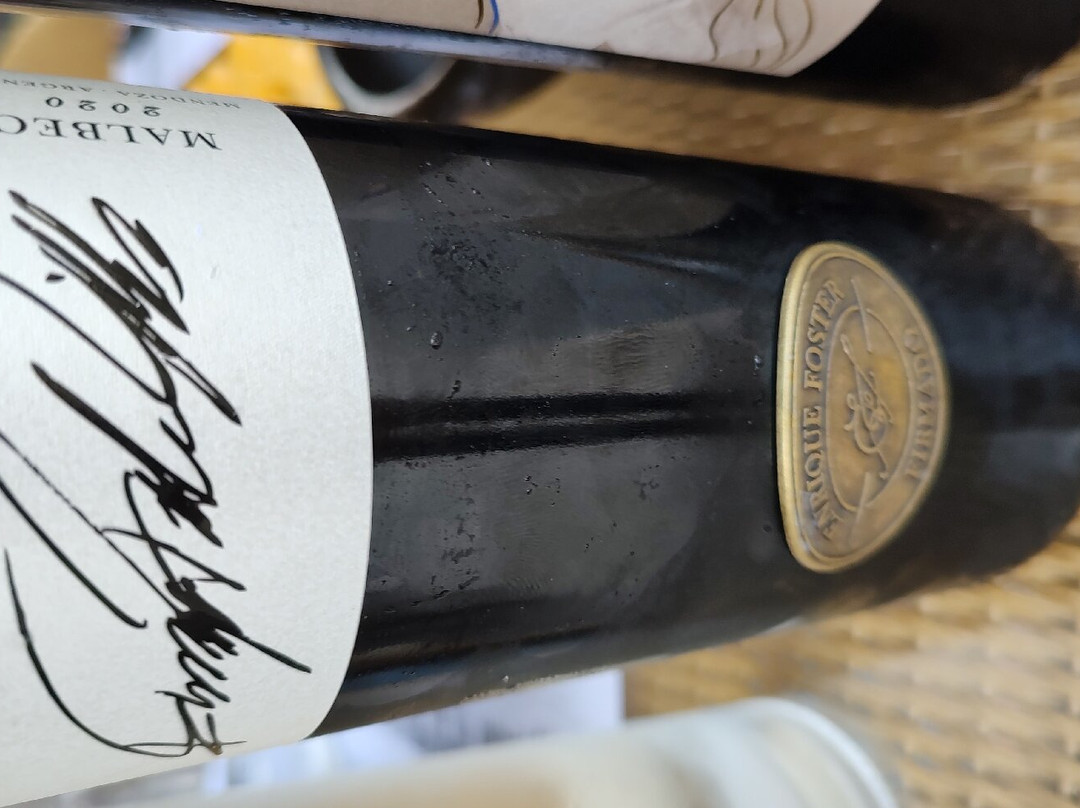 Bodega Mauricio Lorca-路冉得库约必去景点