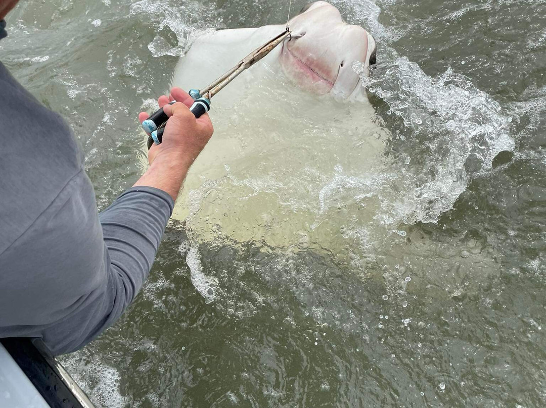 Explore More Inshore Charters-棕榈岛必去景点