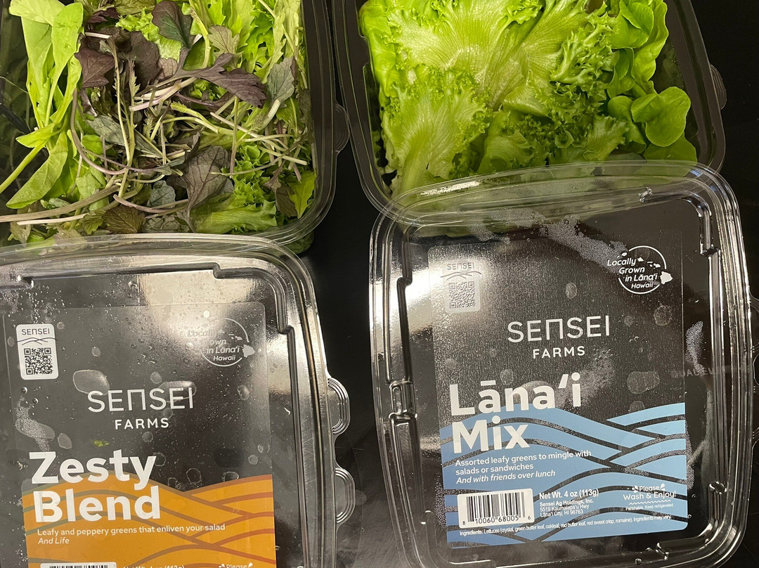 Target Store Maui-Kahului