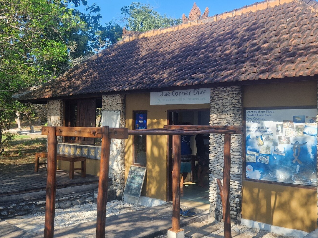 Blue Corner Dive Menjangan景点图片