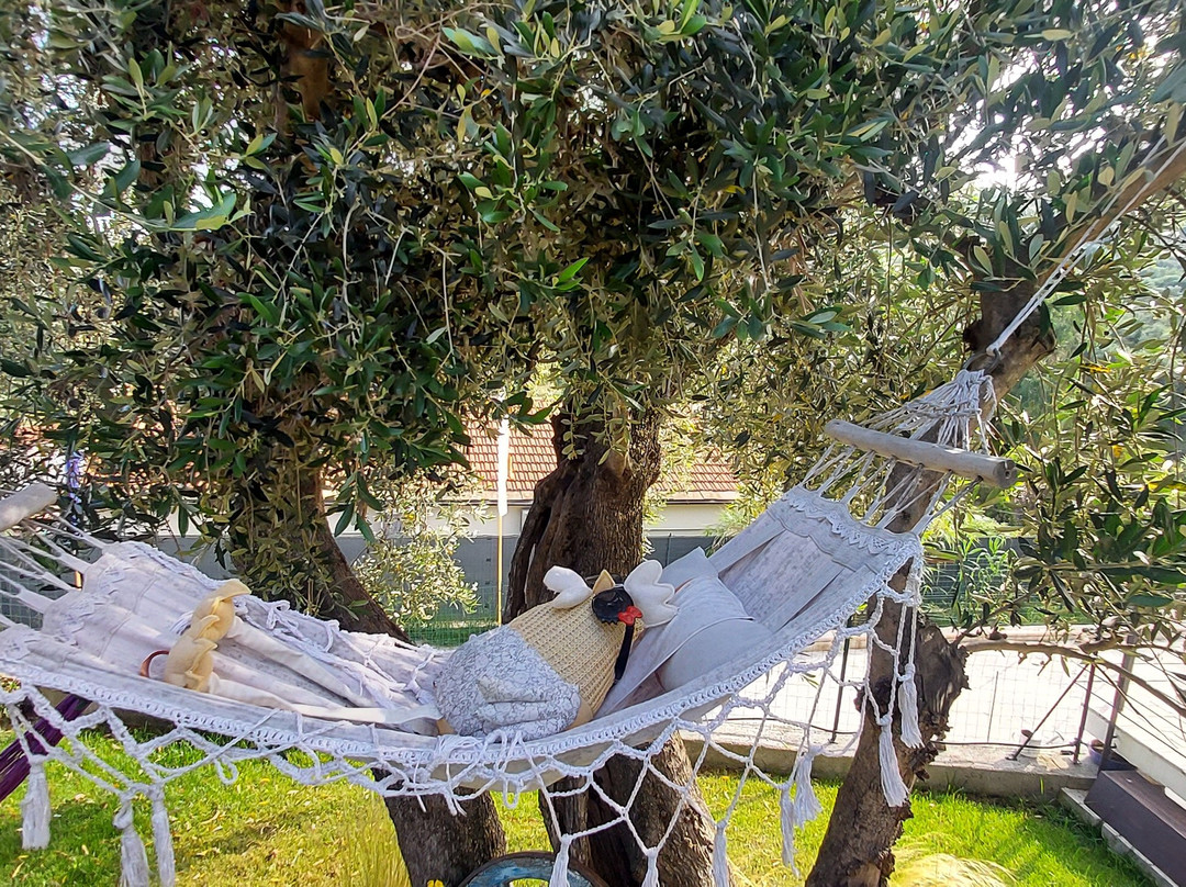 Il Sole di Poggi主图