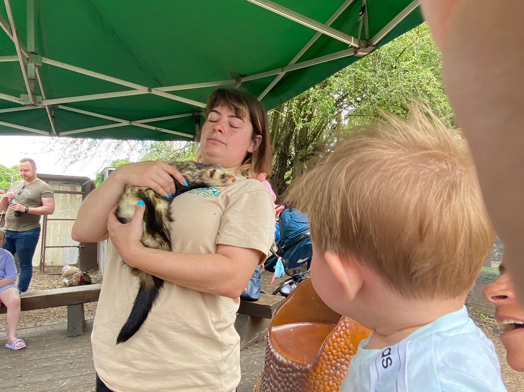  Experience the Joy of Apple Picking with Petting Zoo Adventures: A Family-Friendly Day Out