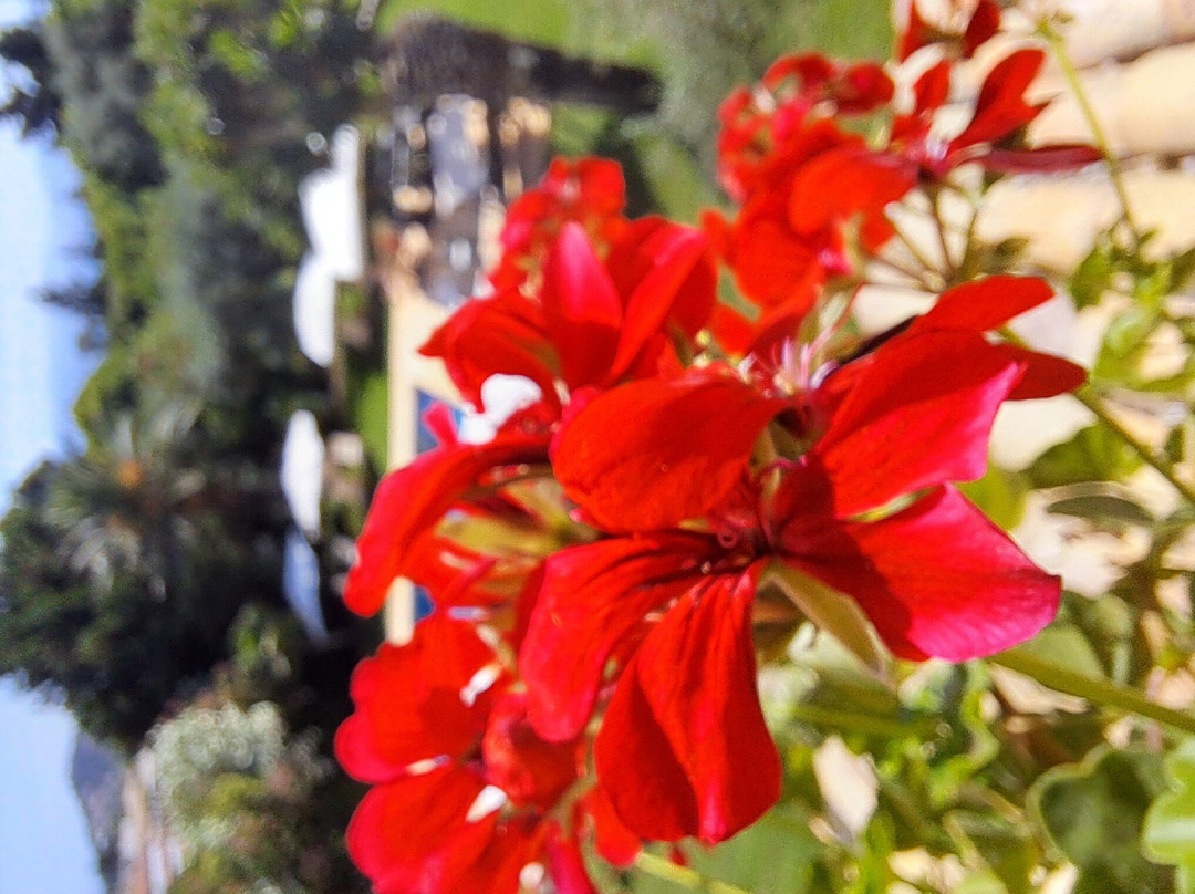 Isabella Country House主图