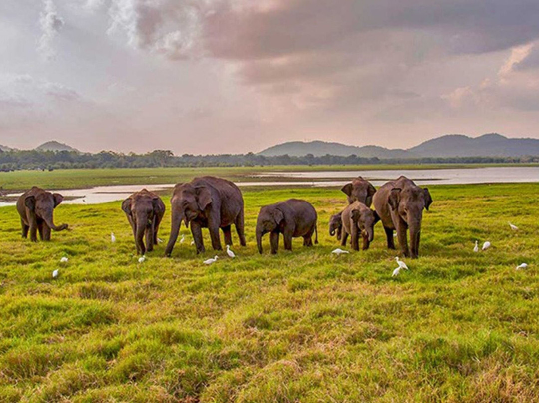Sri Lanka Boutique Villas-锡吉里亚必去景点