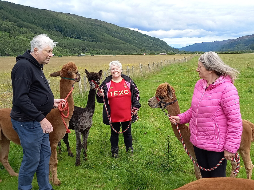 Invercannich Farm景点图片
