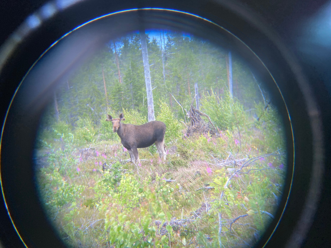热情拉普兰探索之旅-罗瓦涅米必去景点