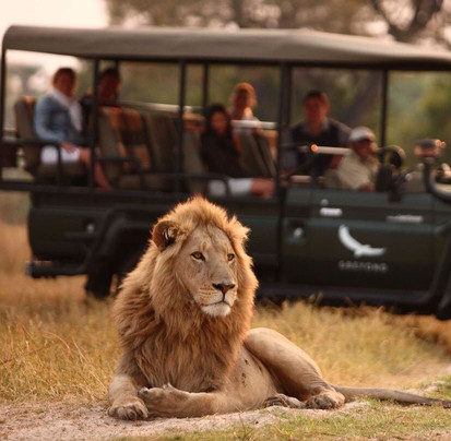 Africa Sun Safaris