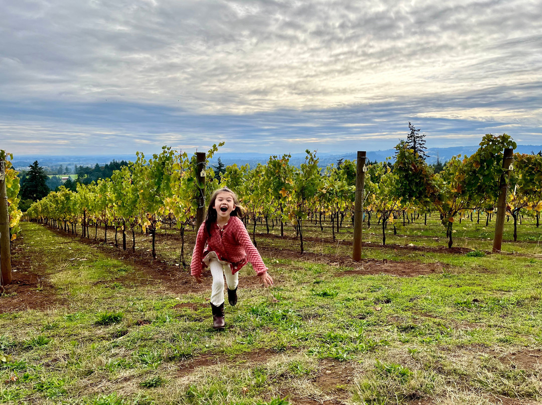 Bells Up Winery景点图片