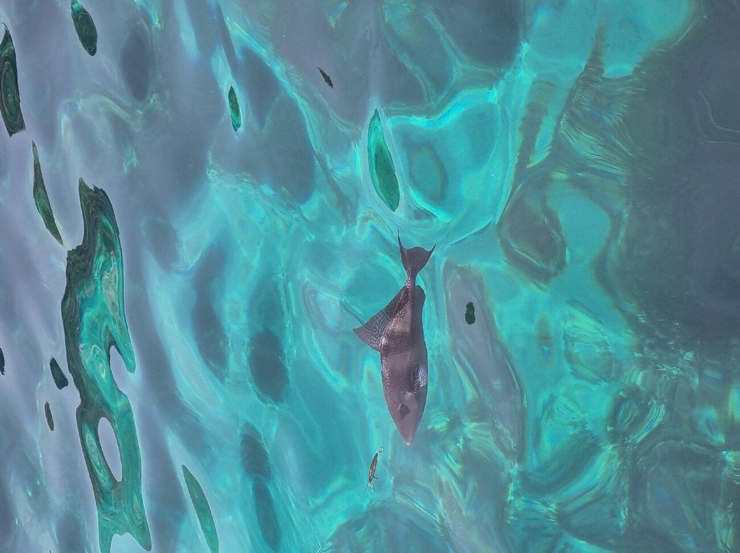 Pescaturismo Maria Rossana-Calasetta必去景点