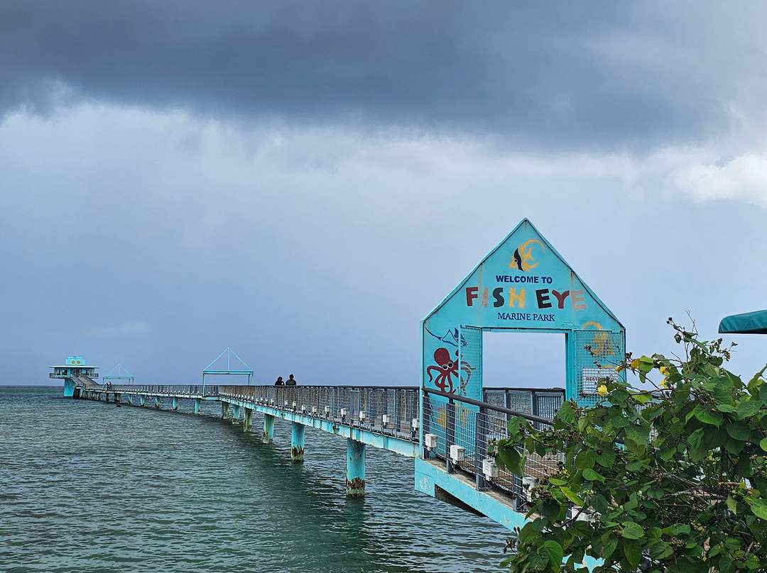 鱼眼海洋公园-Piti必去景点