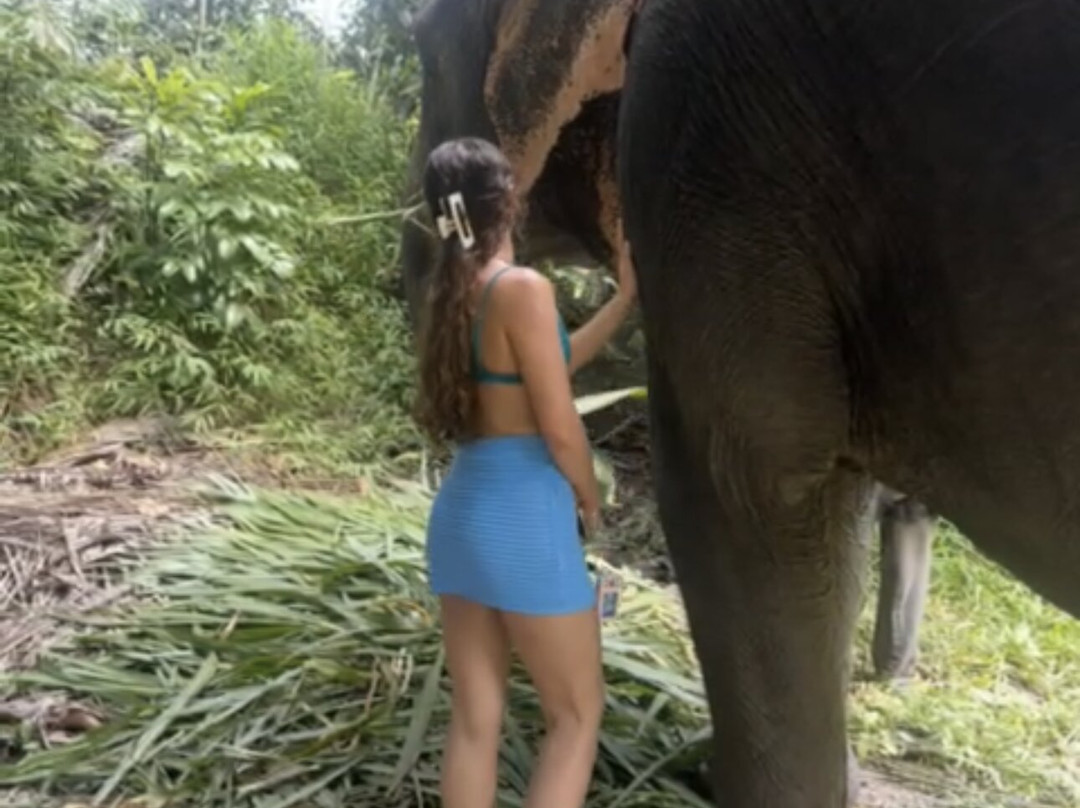 Tongdee Elephant Camp-Bang Muang必去景点