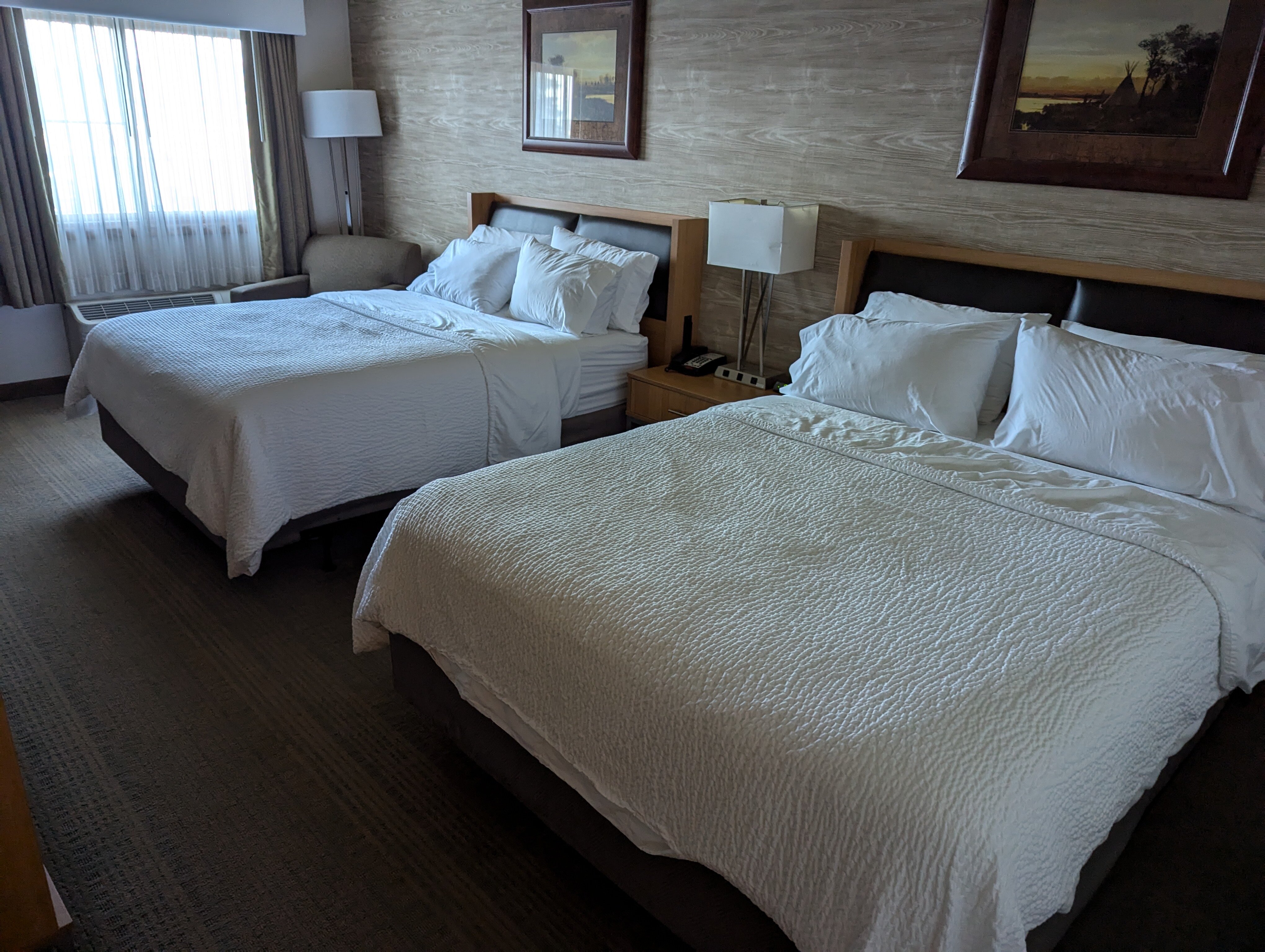 Holiday Inn Spearfish-Convention Center-客卧