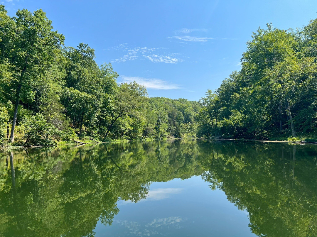 The Lodge at Montgomery Bell主图