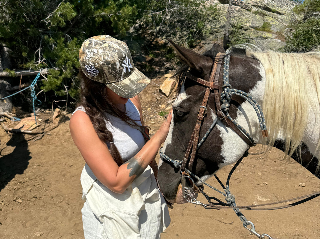 Mountain Horse Adventures-桑德波因特必去景点