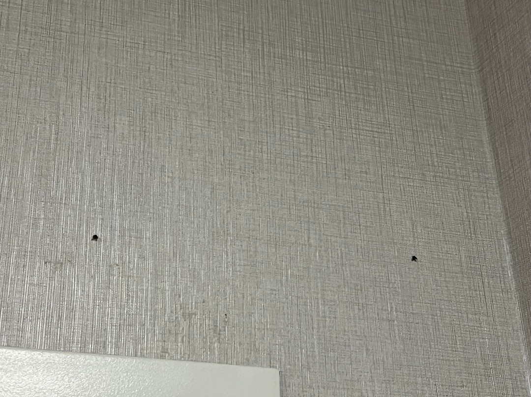 坎布里亚套房酒店主图