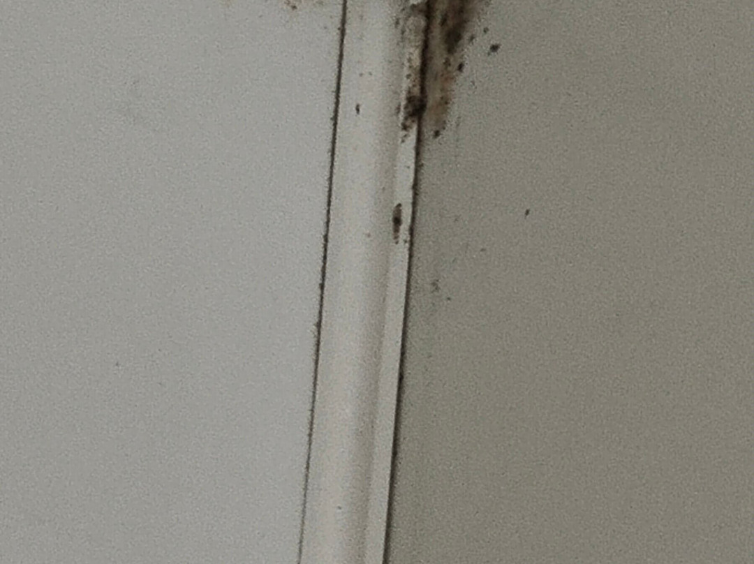 德鲁里汽车旅馆主图