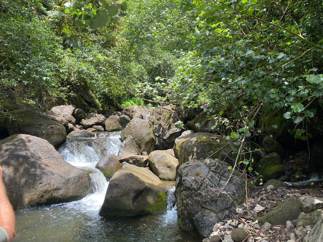Hike Kauai With Me-普林斯维尔必去景点