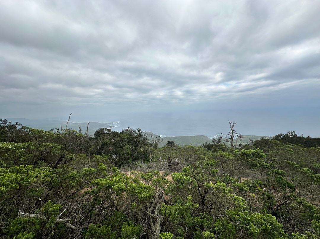 Fray Jorge National Park-拉塞雷纳必去景点