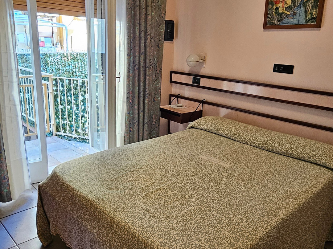 阿尔伯格佛罗伦萨酒店主图