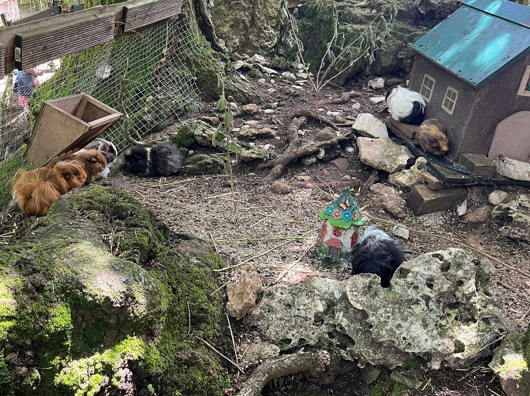 Parc le Theil-Le Caylar必去景点