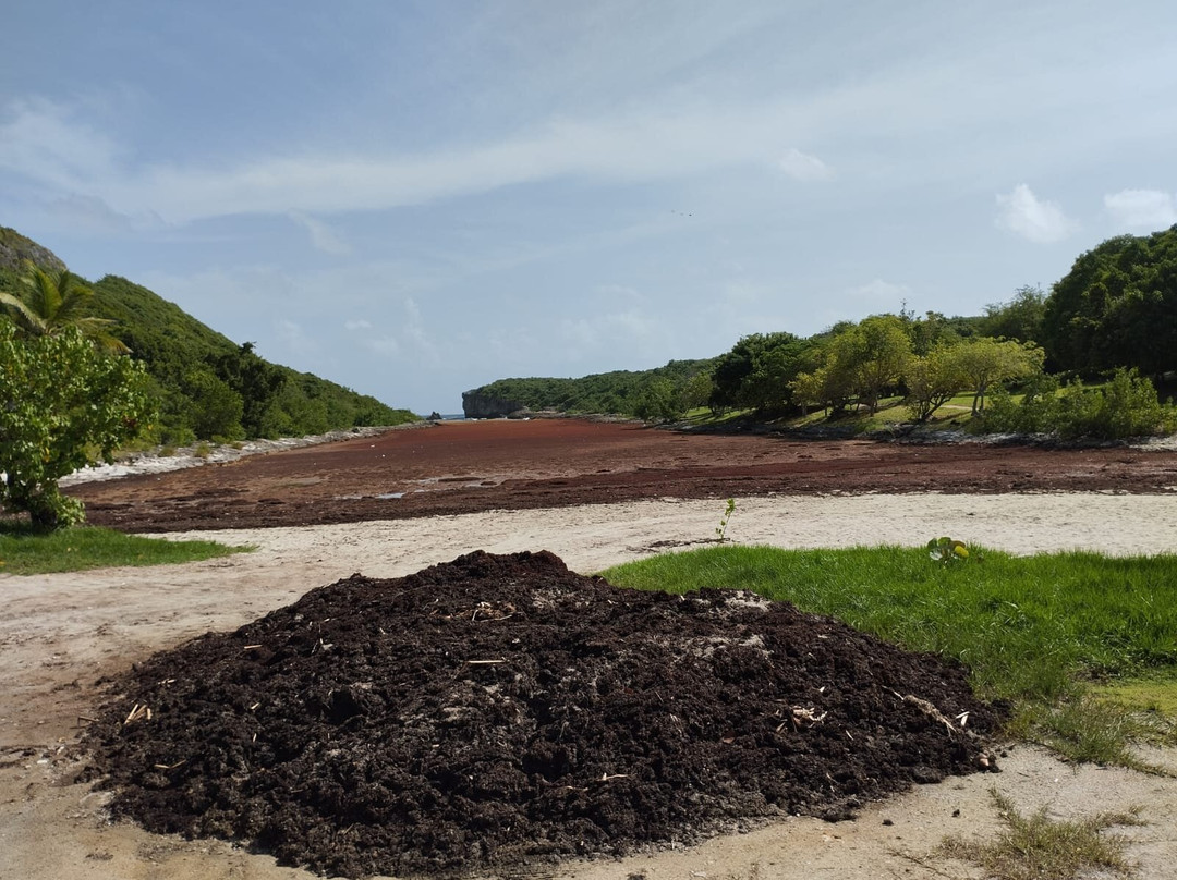 Porte d'Enfer-Le Moule必去景点