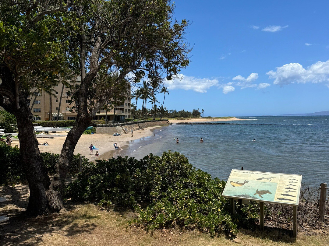 Hawaiian Islands Humpback Whale Sanctuary Visitor Center-基黑必去景点
