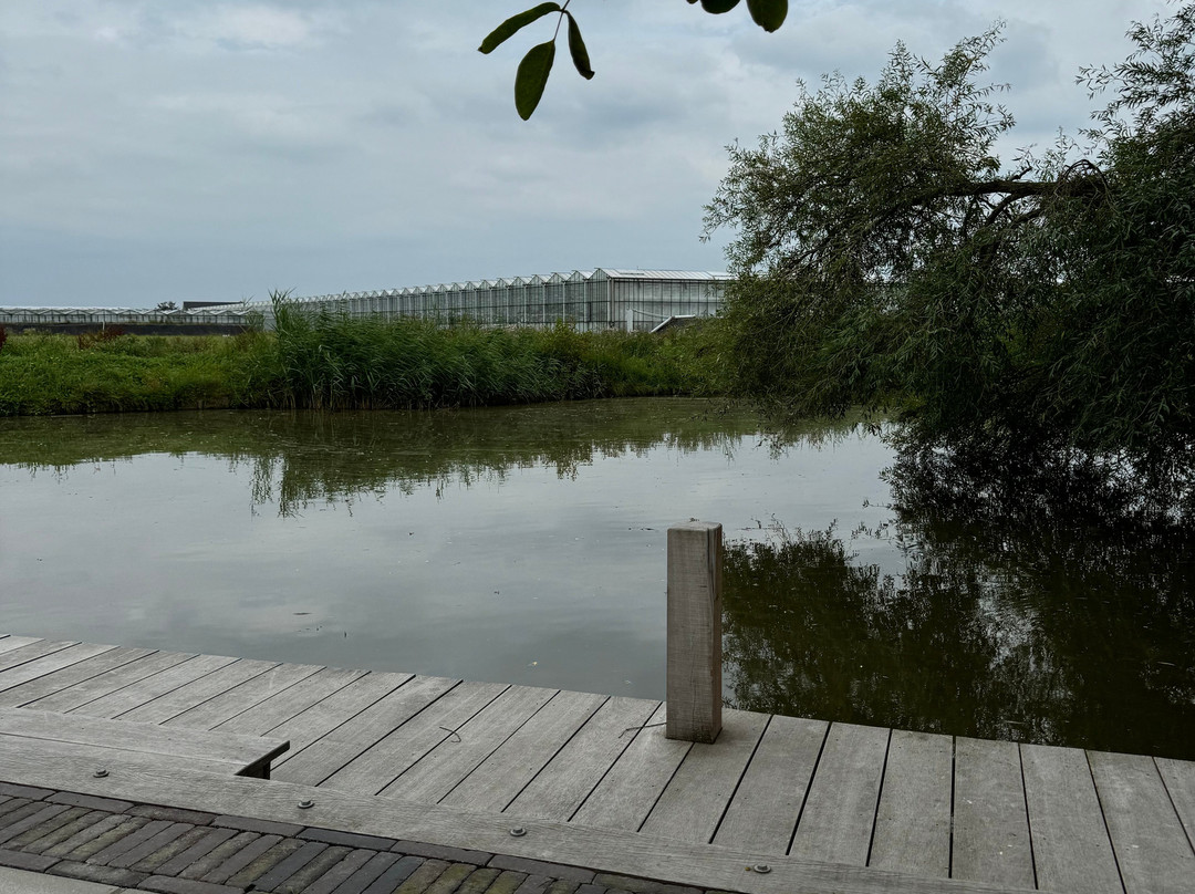 Hoeve BuytenHout