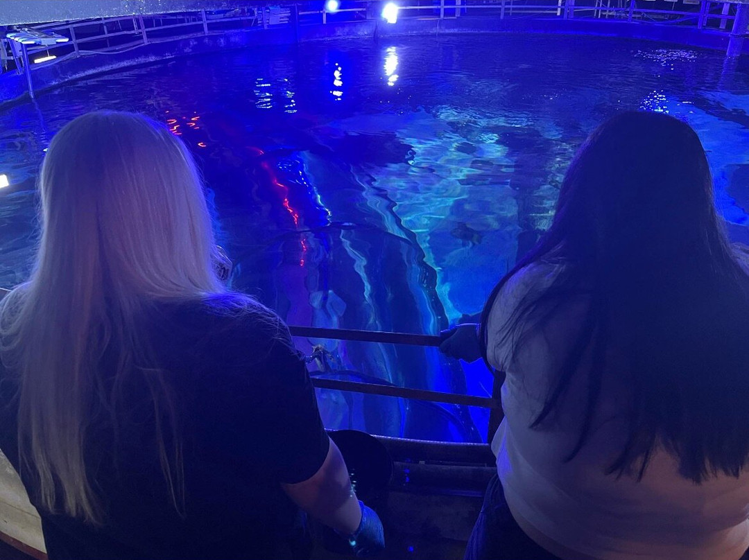 Loch Lomond Sea Life Aquarium景点图片